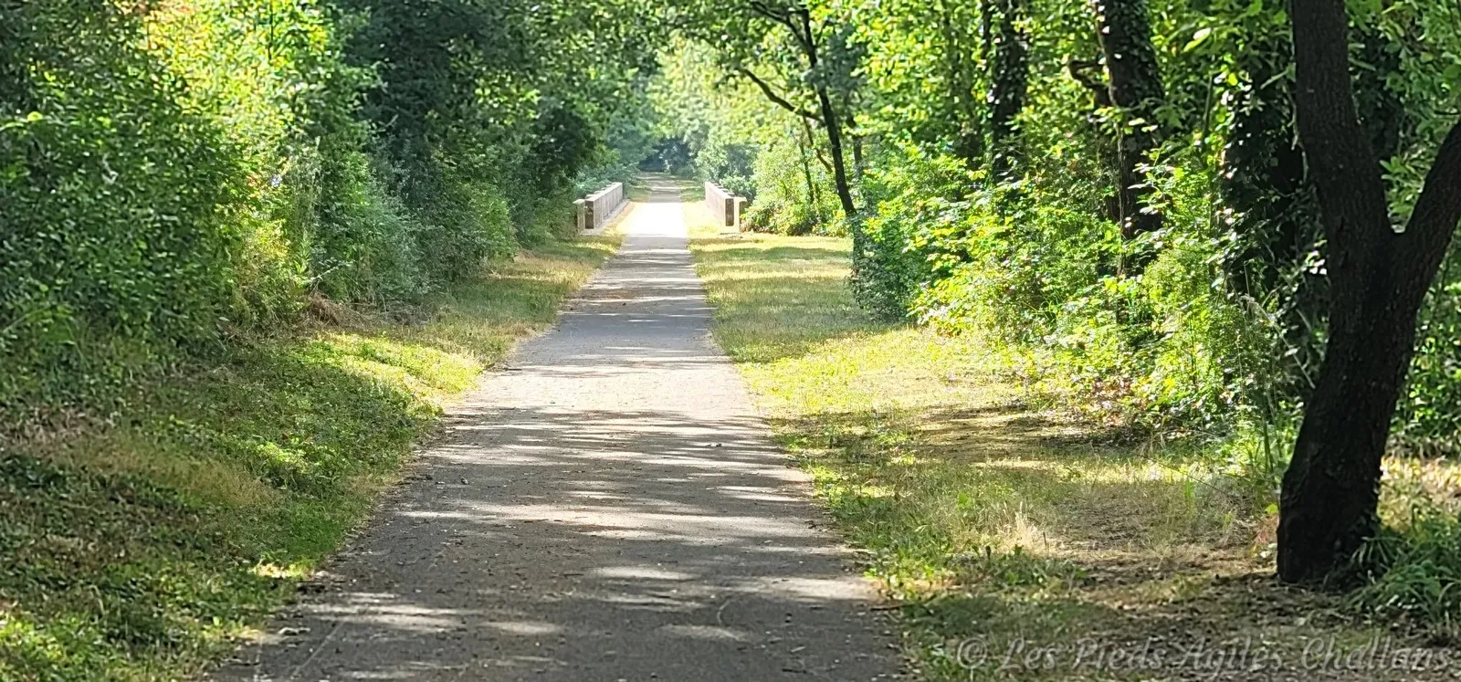 Le plaisir de marcher à l'ombre