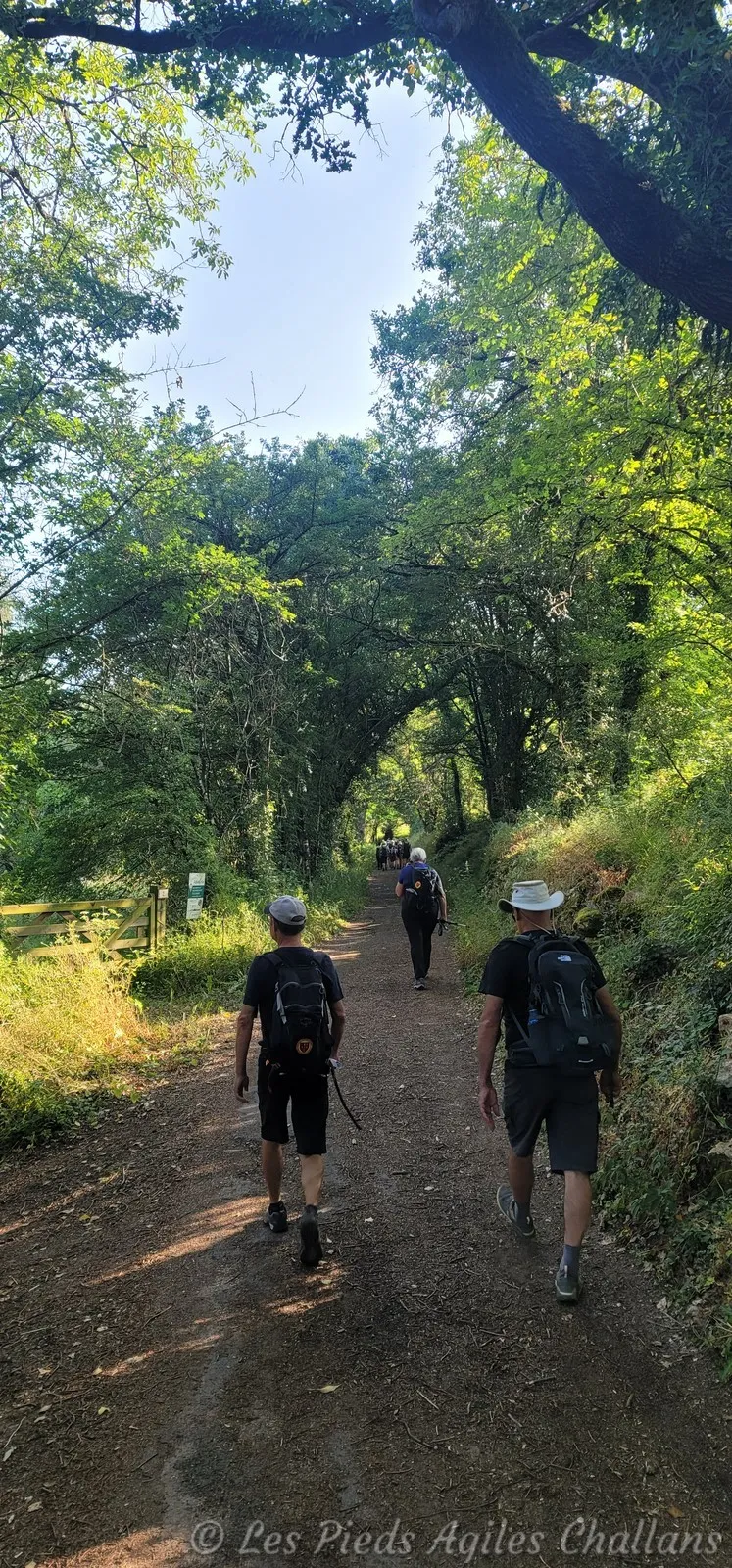 Et on retrouve les sous-bois de suite