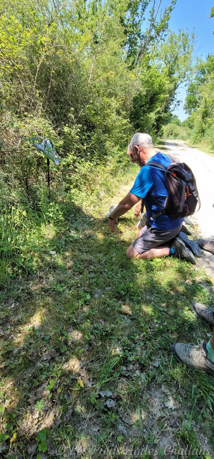 Cela va devenir un rituel ! ! ! !